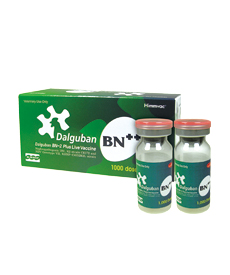 Himmvac Dalguban BN-2 plus Combined Live Vaccine