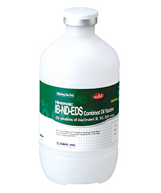 Himmvac IB-ND-EDS Combined Oil Vaccine