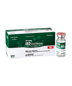 Himmvac IBD Live Vaccine