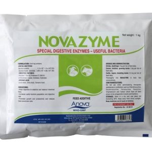 Nova Zyme